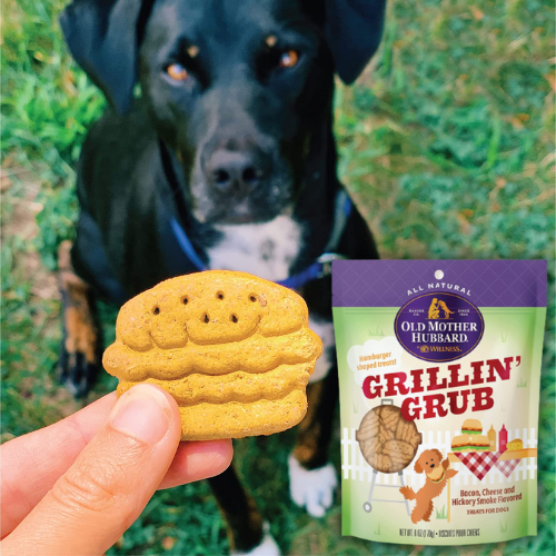 Grillin’ Grub Bacon, Cheese & Hickory Smoke Flavored Dog Treats, 6 Oz as low as $1.49 Shipped Free (Reg. $3) – FAB Ratings!