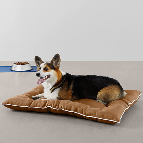 Amazon Basics Outdoor Water Repellent Medium Pet Pillow Bed $10.29 (Reg. $25.69) – Featuring a Cute and Comfy Stitch-tufted Bone Design in the Center