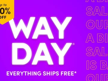 Surprise Way Day! Up to 80% Off Today & Tomorrow Only