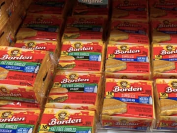 Borden Coupon | $1.57 Cheese Singles at Publix