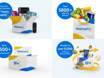 Last Chance: 50% off 1-Year of Walmart+