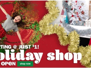 Five Below | Holiday Gift Shop Sale