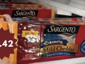 $1.42 Sargento Block Cheese with Publix eCoupon