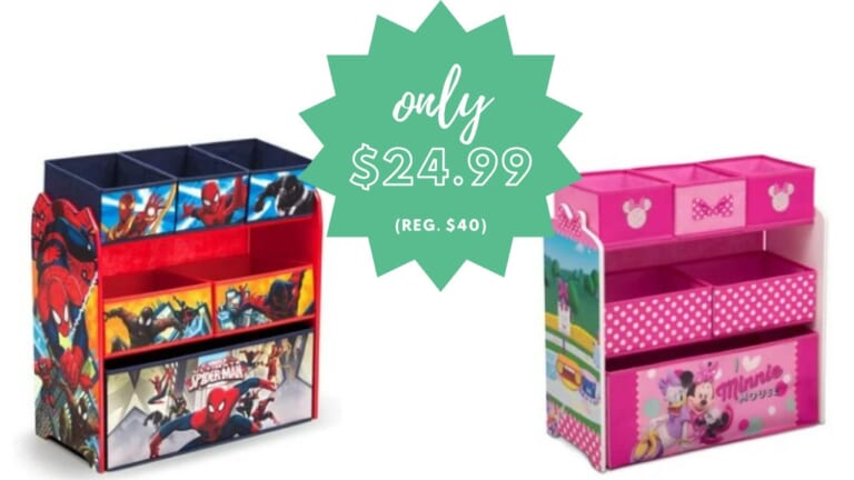 Kids’ Character Toy Storage with Bins $24.99 (reg. $40)