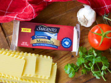 Sargento Chunk Cheese As Low As $1.75 At Publix