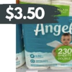 Angel Soft Bath Tissue as Low as $3.50 at Publix & Food Lion