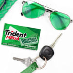 90-Count Trident Mega Spearmint Sugar Free Gum as low as $7.23 After Coupon (Reg. $12.05) – 8¢/Gum! + Free Shipping!