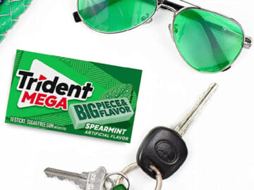 90-Count Trident Mega Spearmint Sugar Free Gum as low as $7.23 After Coupon (Reg. $12.05) – 8¢/Gum! + Free Shipping!