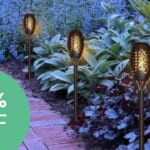 solar light stakes