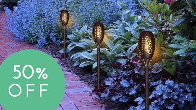 solar light stakes