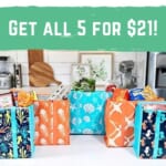 5 Super Shopper Totes As Low As $21 (reg. $36)