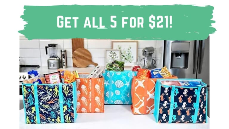 5 Super Shopper Totes As Low As $21 (reg. $36)