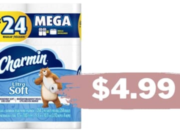 Charmin 6 Mega Rolls for $4.99 at Publix