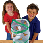 Amazon Black Friday! Giant Butterfly Garden STEM Set $16.99 (Reg. $33) – Voucher Included! Fun Gift Idea for Kids!