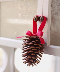 55005ae4c2851-pine-cone-craft-1209-s3