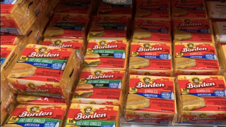 Borden Coupon | $1.39 Cheese Singles at Publix