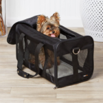 Amazon Cyber Deal! Amazon Basics Soft-Sided Mesh Pet Travel Carrier $21.66 (Reg. $31.76) – keep your pet comfortabe while traveling!