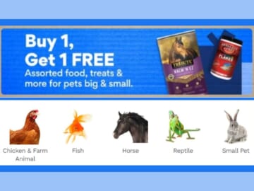 Chewy | B1G1 Free Food, Treats & More!