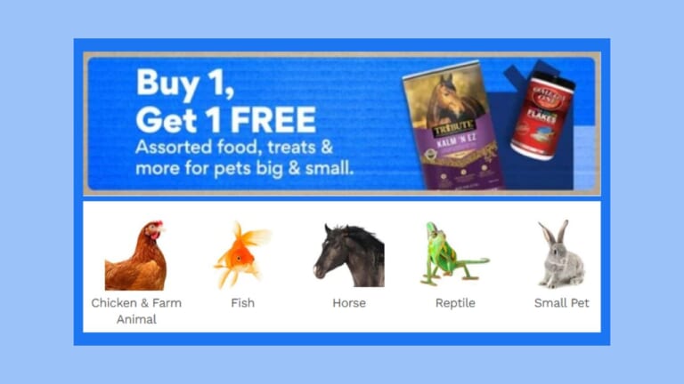 Chewy | B1G1 Free Food, Treats & More!