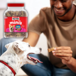 Milk-Bone Mini’s Flavor Snacks Dog Biscuits, 36 Oz as low as $6.32 After Coupon (Reg. $11.48) + Free Shipping!