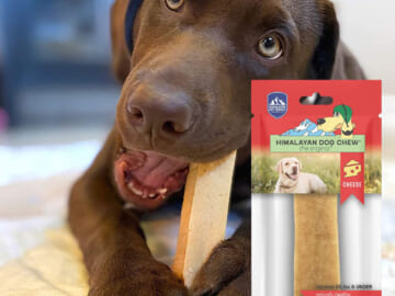 TWO Himalayan Large Dog Chews as low as $7.60 Shipped Free (Reg. $12.48) – $3.80 Each! – FAB Ratings! Get 2 for the price of 1