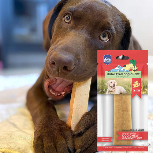 TWO Himalayan Large Dog Chews as low as $7.60 Shipped Free (Reg. $12.48) – $3.80 Each! – FAB Ratings! Get 2 for the price of 1