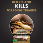 15-Count Spectracide Terminate Termite Detection & Killing Stakes as low as $37.08 After Coupon (Reg. $53) + Free Shipping – $2.47 EACH!