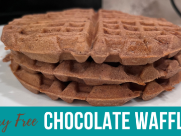 Dairy Free Chocolate Waffles Recipe