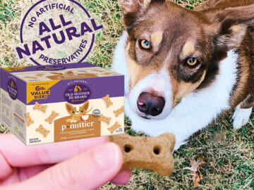 Old Mother Hubbard Classic P-Nuttier Baked Dog Treats, 6 Pound Box as low as $7.55 After Coupon (Reg. $20) + Free Shipping! – Mini Training Treats For Small Dogs!