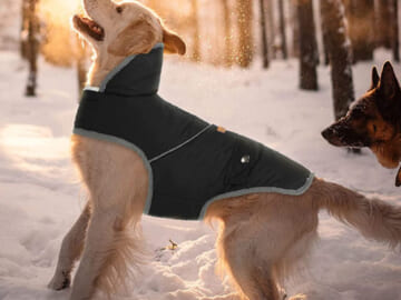 Dog Winter Coat Jacket $22.73 After Code (Reg. $37.89) + Free Shipping!