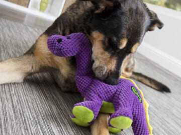 THREE goDog Checkers Plush & PlayClean Large Purple Squeaky Dog Toy as low as $4.74 EACH (Reg. $14) – Free Shipping + Get 3 for the price of 2