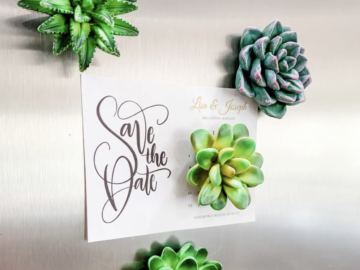 Mini Succulent Resin Magnets, Set of 4 for just $14.99 shipped!