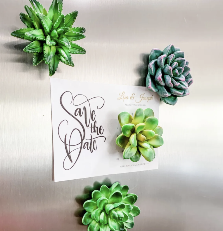 Mini Succulent Resin Magnets, Set of 4 for just $14.99 shipped!