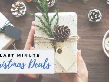 Live Online Q&A Tomorrow: Last-Minute Christmas Deals
