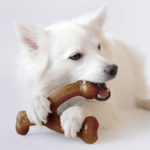 THREE Benebone Wishbone Durable Dog Chew Toy as low as $6.47 EACH Shipped Free (Reg. $13.45) – FAB Ratings! – For Aggressive Chewers + Buy 3 for the Price of 2 Select Pet Supplies!