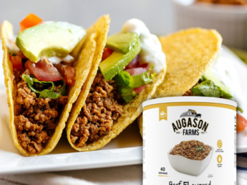 40-Servings Augason Farms Beef Flavored Vegetarian Meat Substitute $15.02 (Reg. $26) – FAB Ratings! 38¢/Serving + LOWEST PRICE! 10-Year Shelf Life!