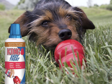 KONG Peanut Butter Flavor Dog Treat Paste, 8 Oz as low as $4.89 After Coupon (Reg. $10) + Free Shipping! 8K+ FAB Ratings!