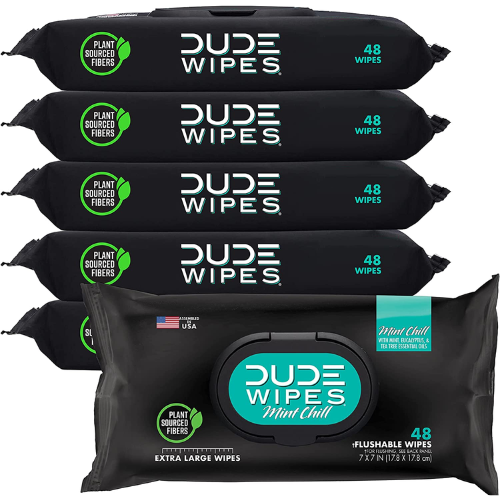 288-Count Mint Chill Flushable Wet Wipes as low as $8.87 (Reg. $47.68) + Free Shipping! 52K+ FAB Ratings! $1.48/48-Count Pack or 3¢/Wipe!