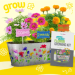 Paint & Plant Flower Craft Kit for Kids $9.99 (Reg. $24.99) – FAB Ratings! 10K+ 4.6/5 Stars!