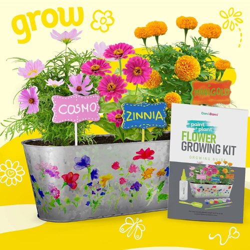 Paint & Plant Flower Craft Kit for Kids $9.99 (Reg. $24.99) – FAB Ratings! 10K+ 4.6/5 Stars!