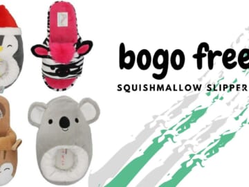 B1G1 Free Squishmallow Slippers at Walgreens