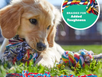 7-Count AMZpets Dog Toys Set for Aggressive Chewers $11.39 After Coupon (Reg. $26) – 4.2K+ FAB Ratings! – $1.63 each!