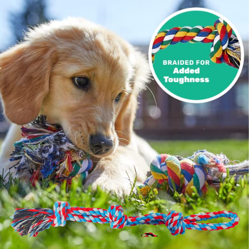 7-Count AMZpets Dog Toys Set for Aggressive Chewers $11.39 After Coupon (Reg. $26) – 4.2K+ FAB Ratings! – $1.63 each!