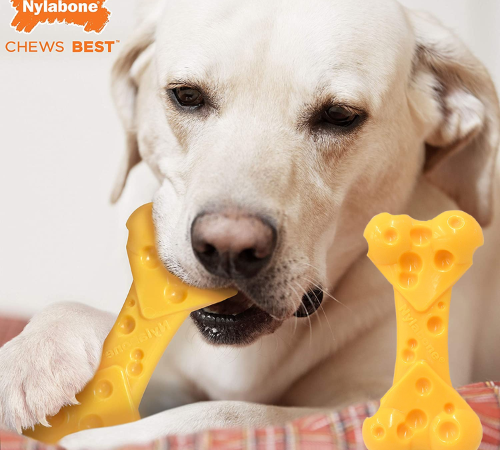 Nylabone DuraChew Large/Giant Cheese Bone as low as $7.97 Shipped Free (Reg. $25) – 16K+ FAB Ratings!