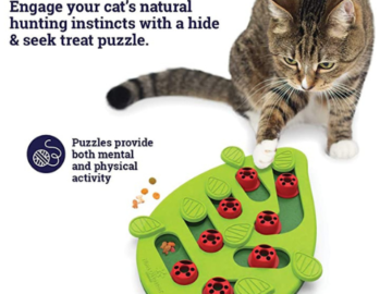 Petstages Nina Ottosson Buggin Out Cat Puzzle & Play as low as $12.63 Shipped Free (Reg. $22) – 2.4K+ FAB Ratings!