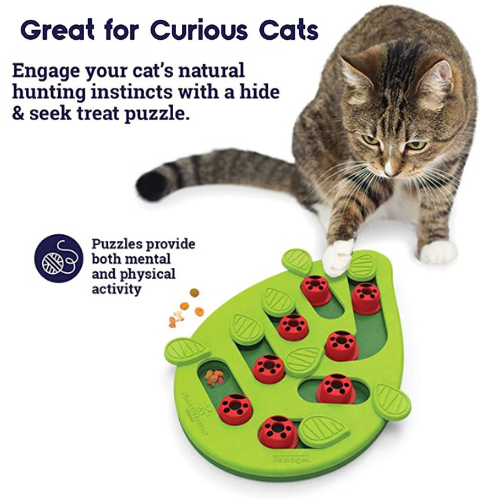 Petstages Nina Ottosson Buggin Out Cat Puzzle & Play as low as $12.63 Shipped Free (Reg. $22) – 2.4K+ FAB Ratings!