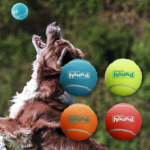 4-Pack Outward Hound Squeaker Ballz Fetch Dog Toy, Medium as low as $3.32 Shipped Free (Reg. $8.99) – 83¢/ball!