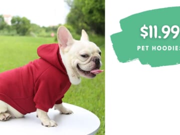 Hoodies For Small Dogs Only $12 (reg. $17)