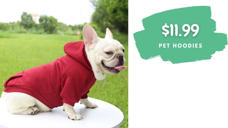 Hoodies For Small Dogs Only $12 (reg. $17)