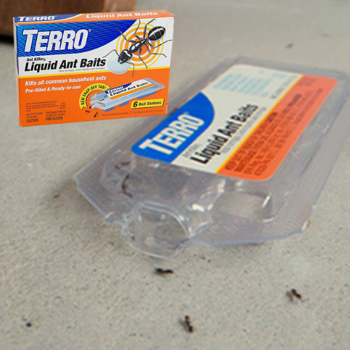 6-Count TERRO Liquid Ant Baits as low as $4.24 After Coupon (Reg. $7) + Free Shipping – 41K+ FAB Ratings! – 71¢/Bait!